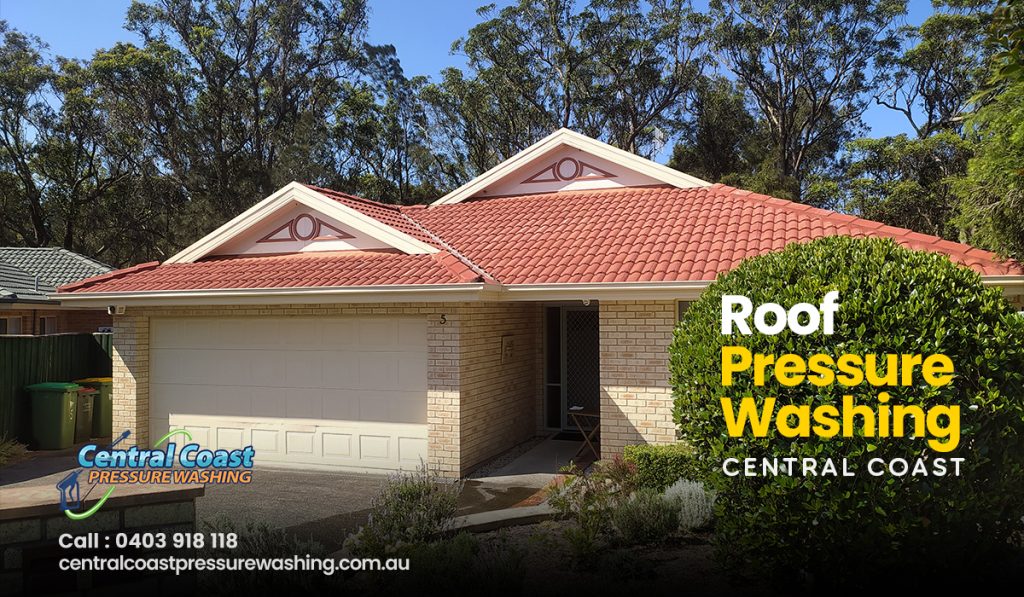 Roof Pressure Washing