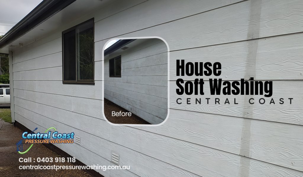 House soft washing