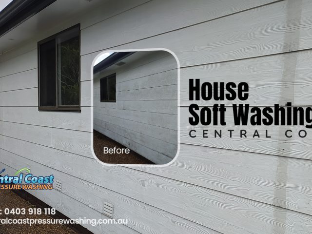 House soft washing – Some Top Facts, Importance, and Benefits