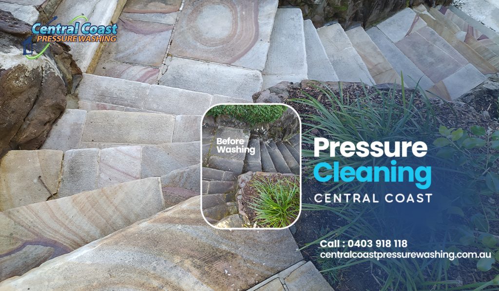 Pressure Cleaning service
