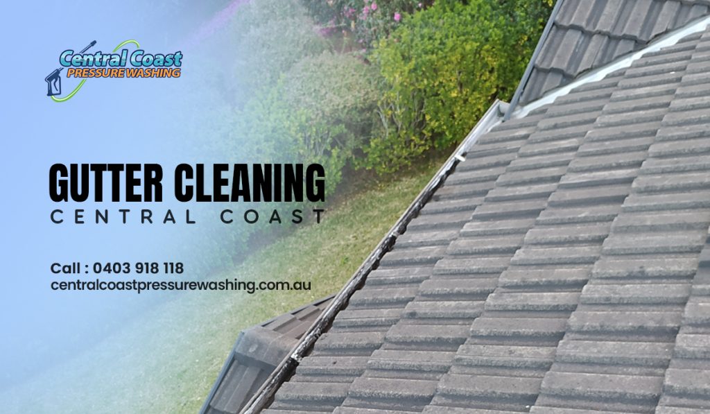Gutter cleaning Central Coast