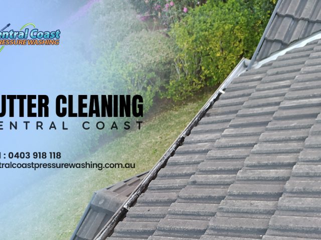 Gutter Cleaning Services – The Ultimate Guide