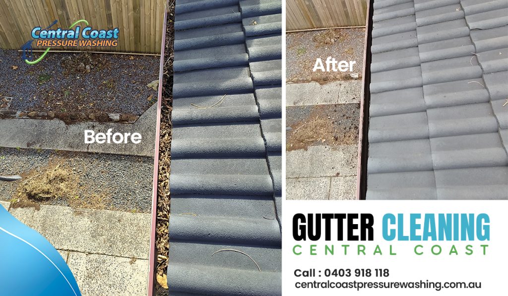 Professional gutter cleaning services