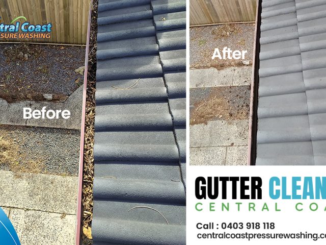 Professional gutter cleaning services: An ultimate guide