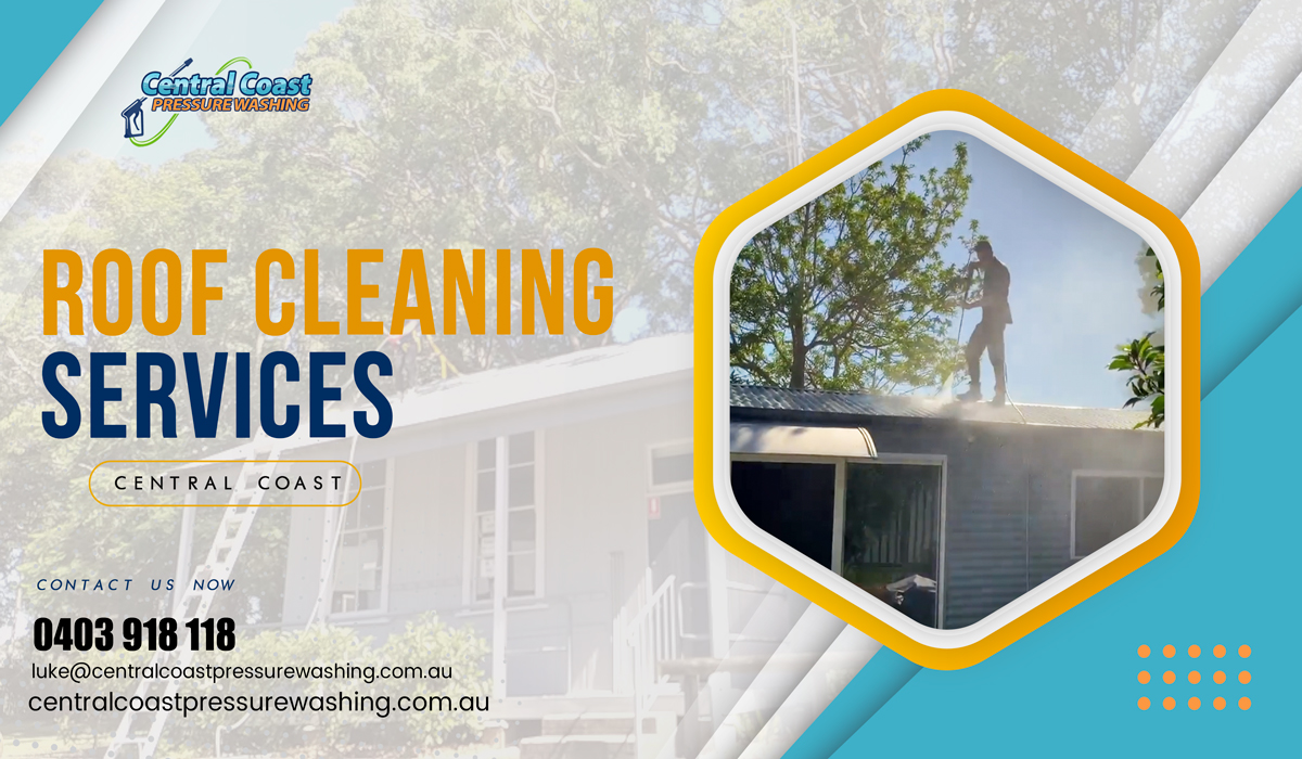 Everything To Know About Professional Roof Cleaning Services