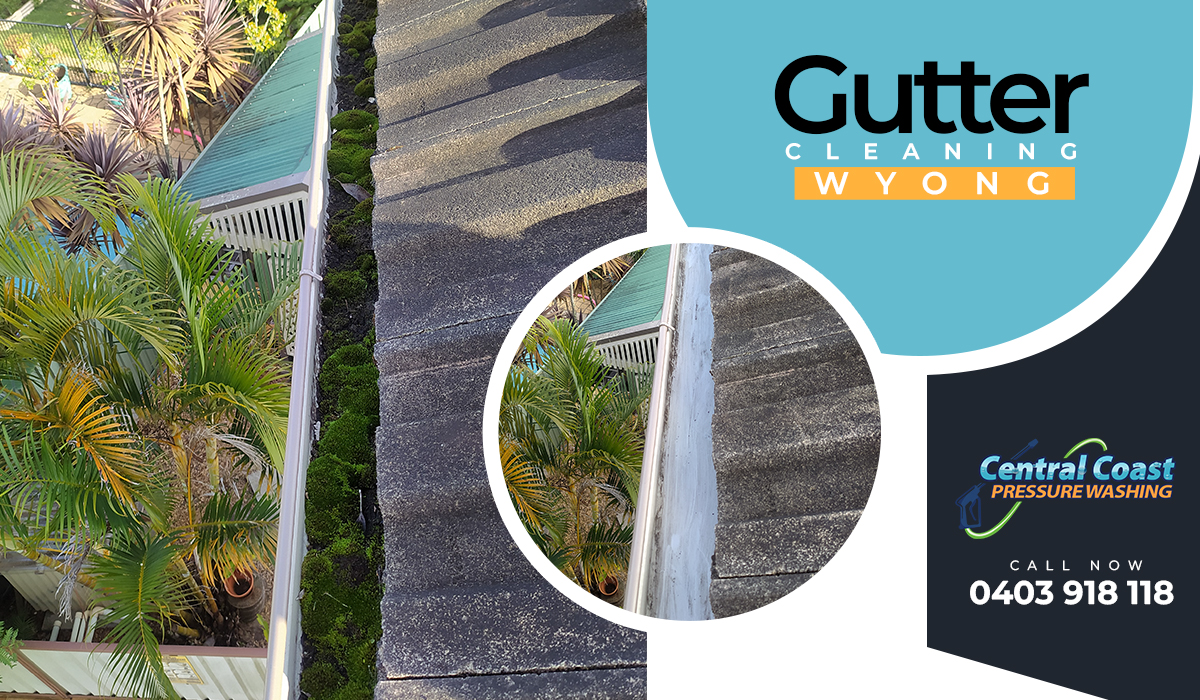 Gutter Cleaning Service – Clear Your Gutters to Clear Your Mind