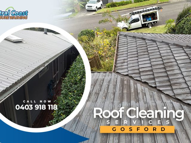 Roof Cleaning Services- Keep your roof clean and make it shine