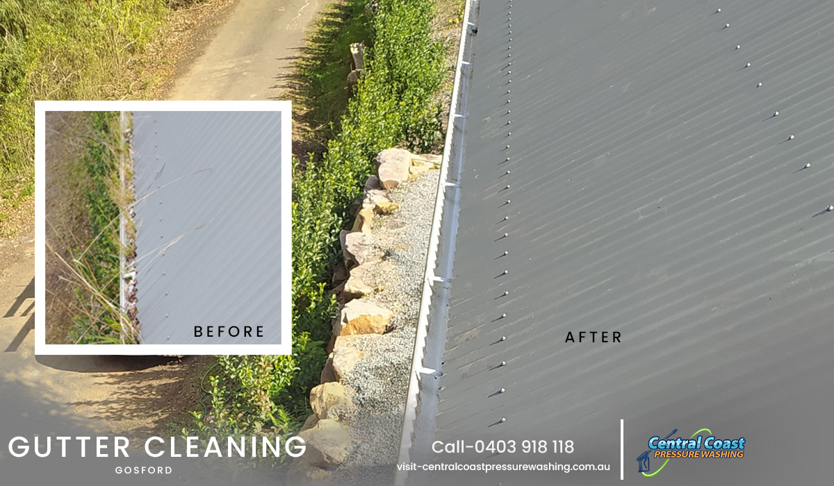 Let’s Make Your Gutter Spotless with Expert Gutter Cleaning Service