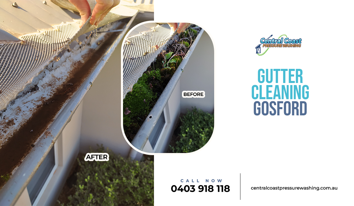 Gutter Cleaning Service – Ensure Spotless Gutters for a Healthy Home