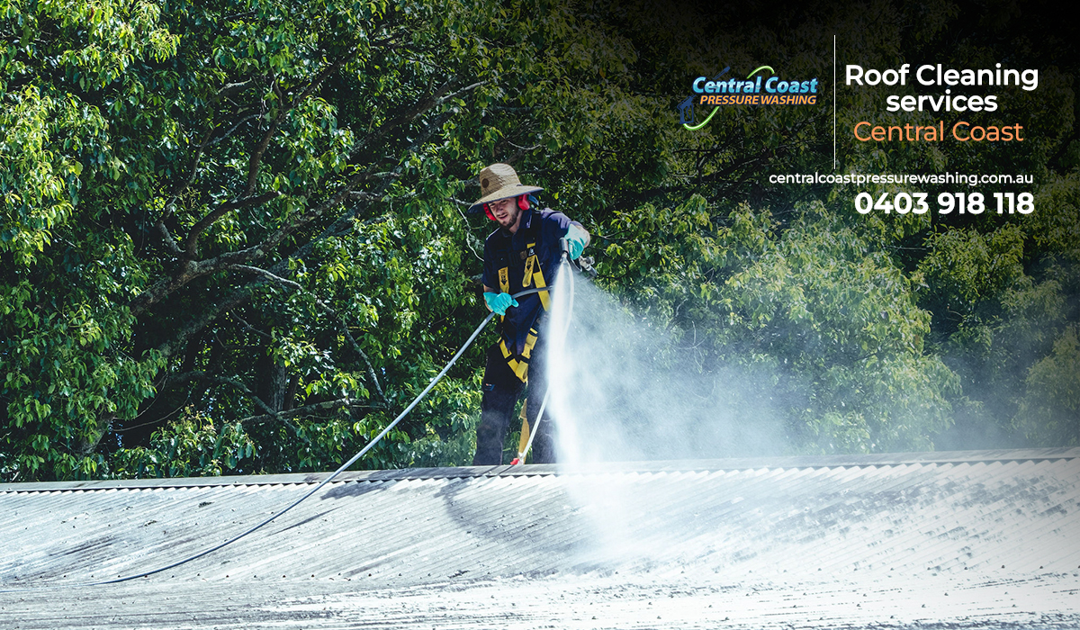Roof Cleaning Services – Prolong the Life of Your Roof with Expert Care
