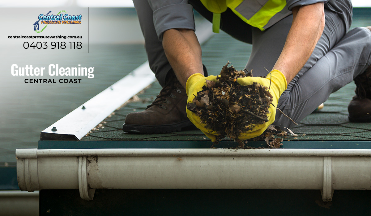 Importance of Professional Gutter Cleaning for Home Maintenance
