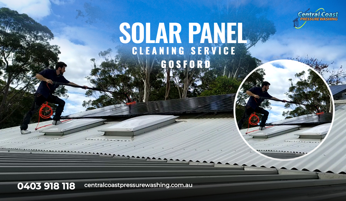 Exploring DIY and Professional Solar Panel Cleaning Service