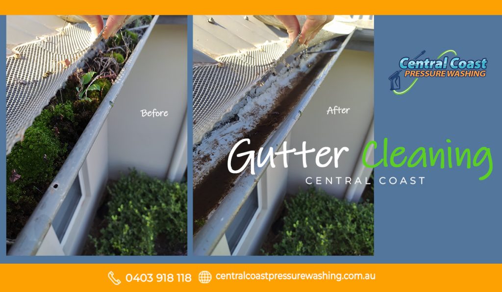 Gutter Cleaning Services