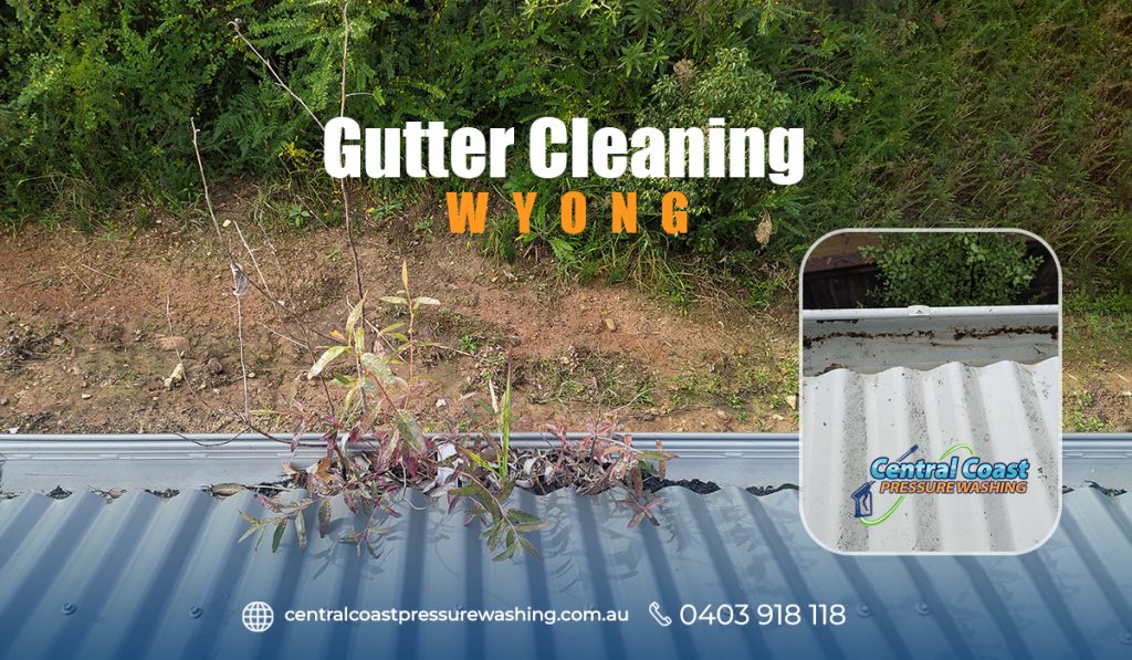 Gutter cleaning Wyong