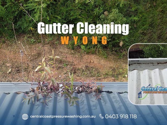 Essential Gutter Cleaning Tips: Why Professional Services Are Key to Protecting Your Home