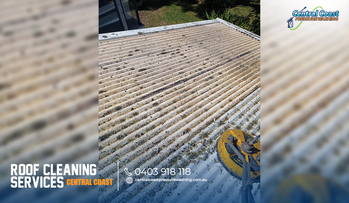 Roof Cleaning Services: Essential for a Healthy and Long-Lasting Roof