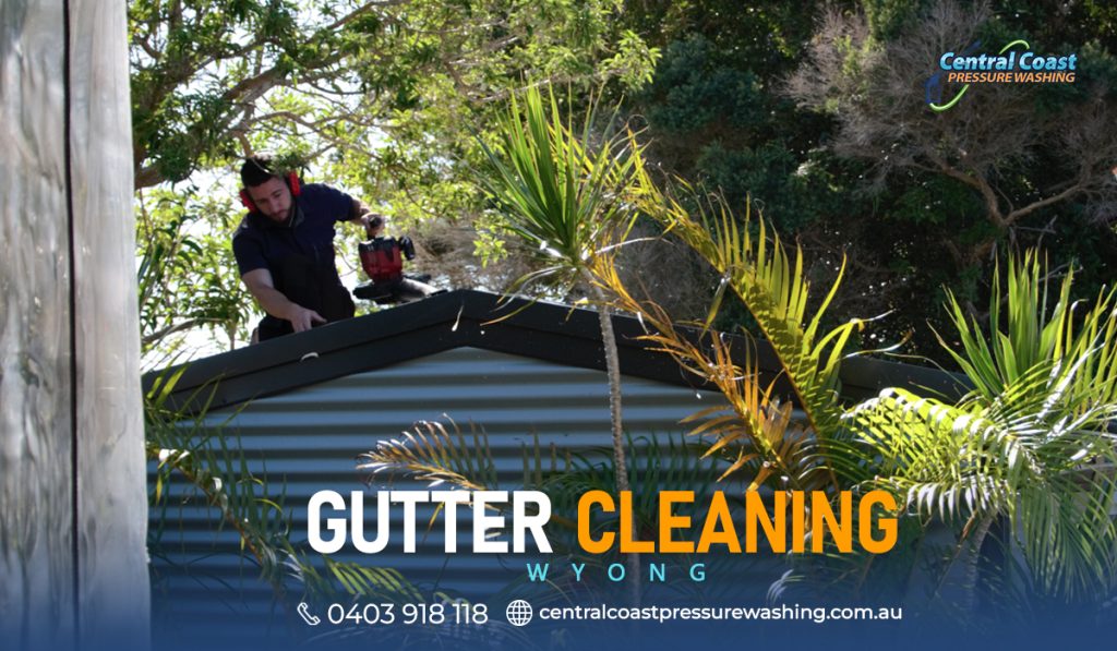 Gutter cleaning Wyong