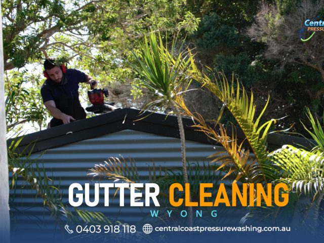 Gutter Cleaning: Everything You Need to Know for Perfectly-Maintained Gutters