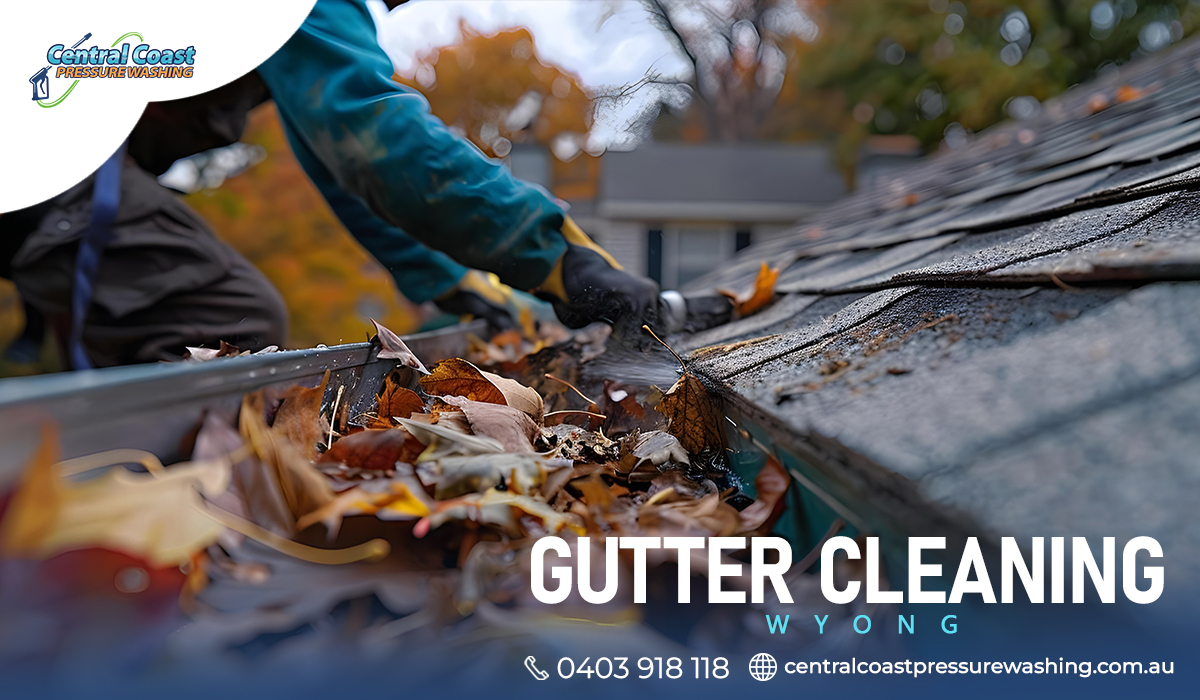 Gutter Cleaning: Everything You Need to Know for Perfectly-Maintained Gutters