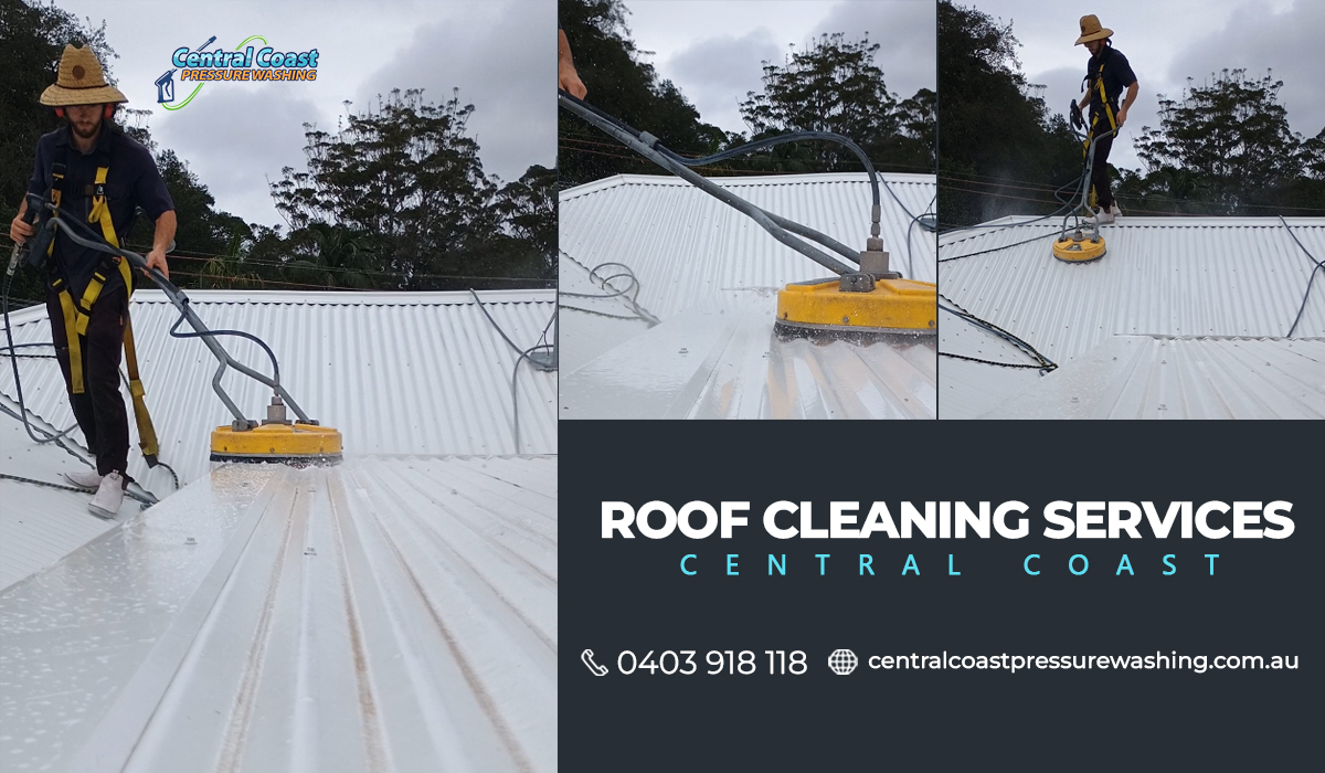 Roof Cleaning: The Importance of Proper Roof Maintenance