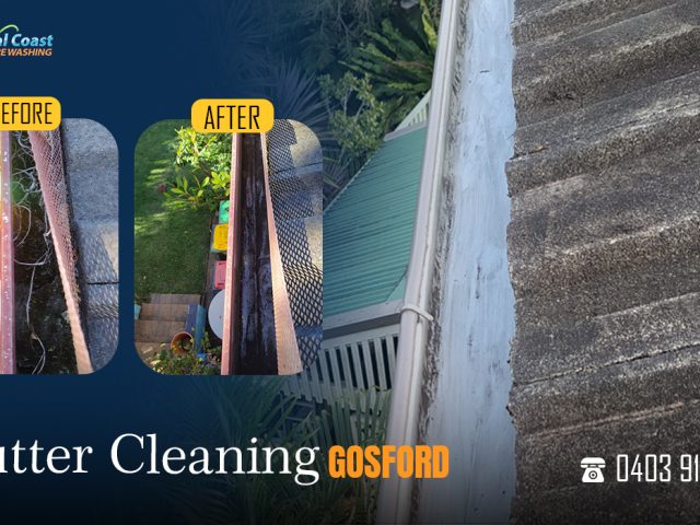 Gutter Cleaning and House Exterior Cleaning : Essential for Your Home’s Health