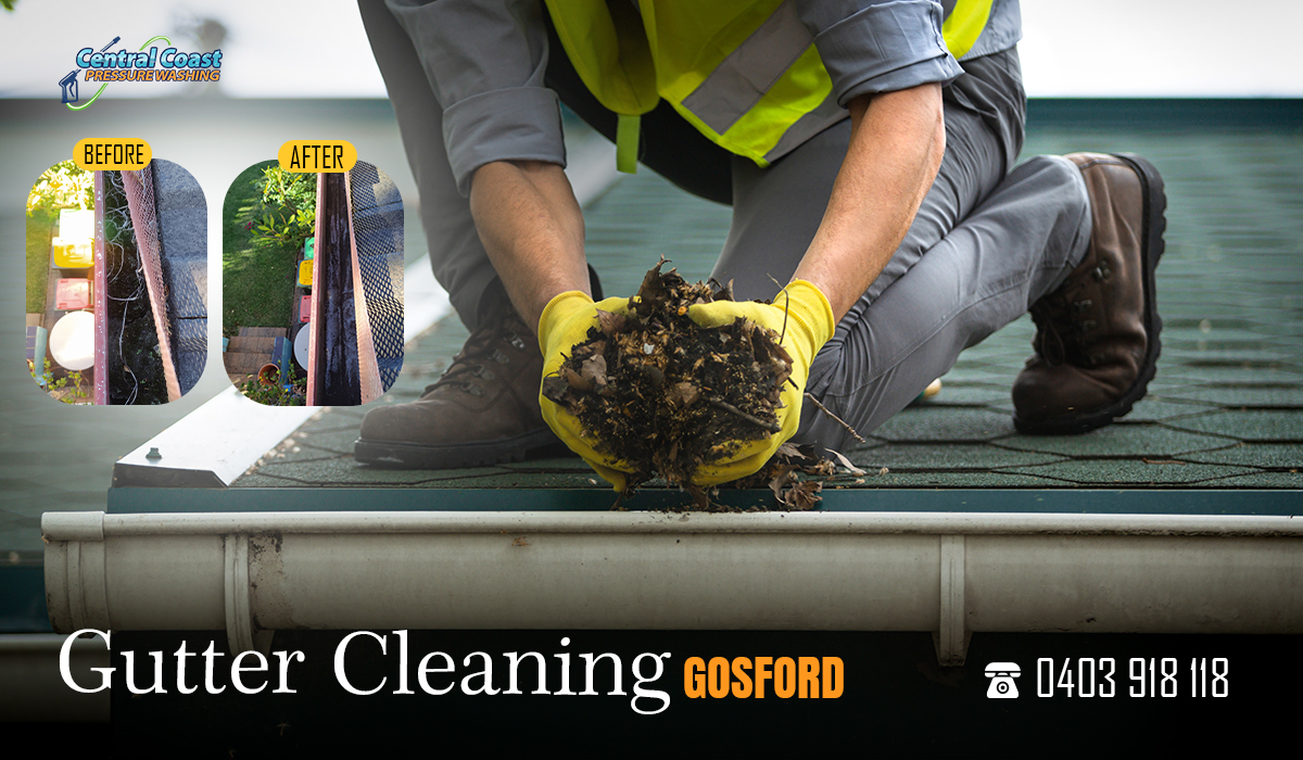 Gutter Cleaning and House Exterior Cleaning : Essential for Your Home’s Health