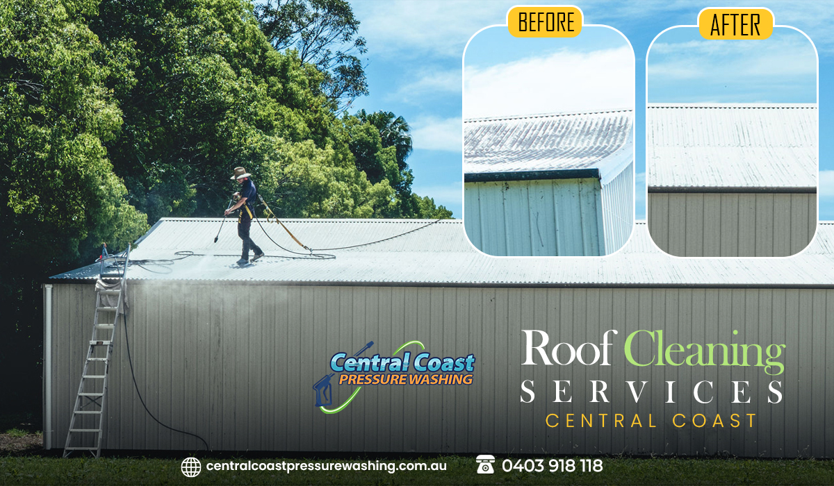 The Surprising Advantages of Hiring Roof Cleaning Services for Your Health