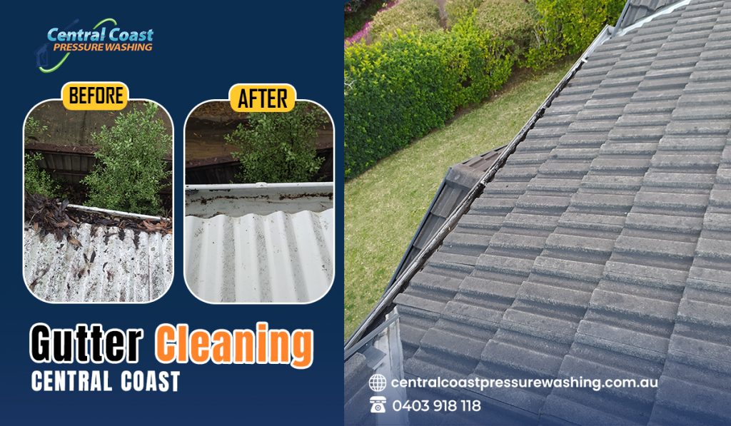 Gutter cleaning Central Coast