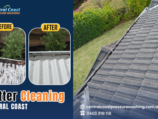 Gutter Cleaning: Boost the Performance of Your Gutters