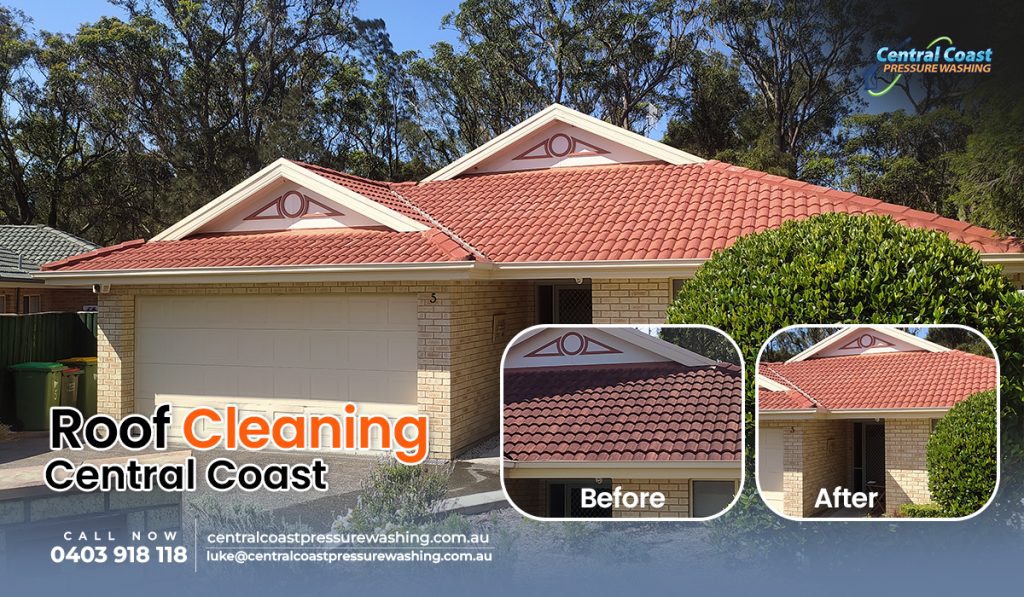 Professional Roof Cleaning: Protect Your Australian Home
