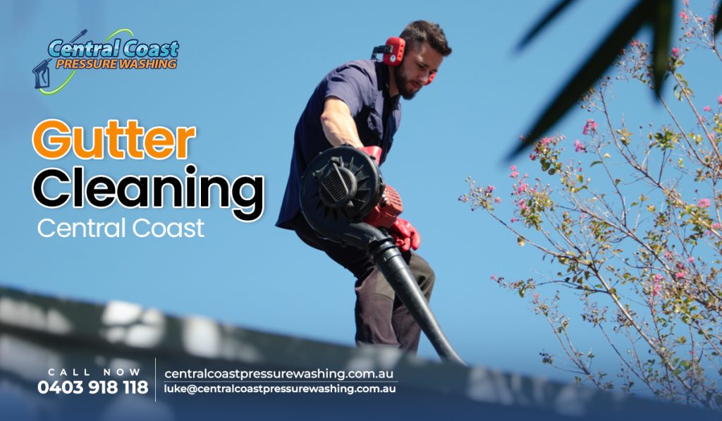 Gutter cleaning
