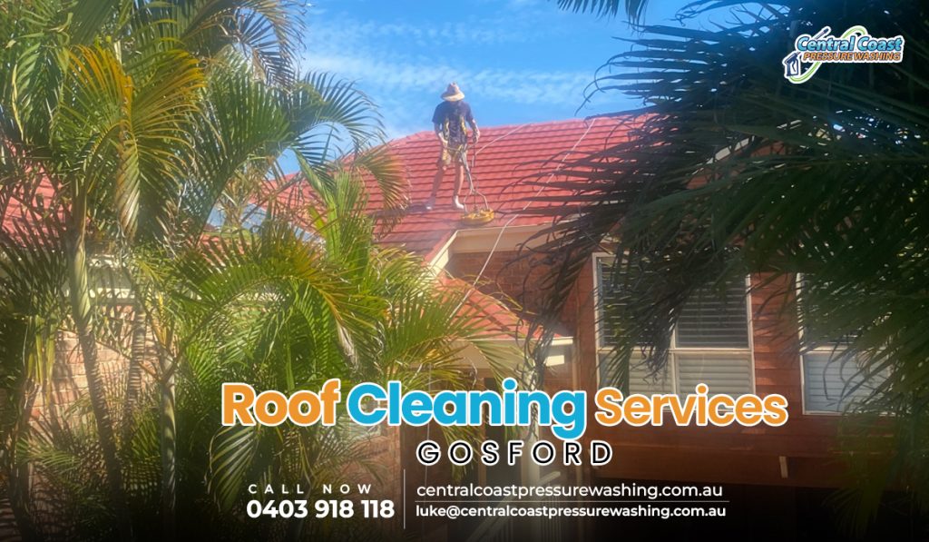 Make Your Roof Spotless with Roof Cleaning Services in Gosford