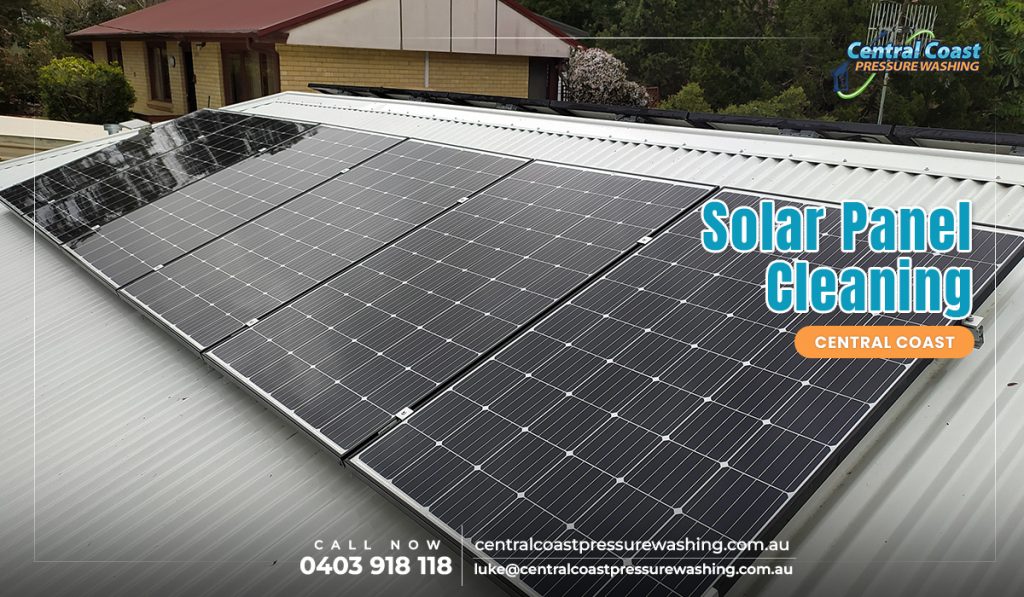 Professional Solar Panel Cleaning