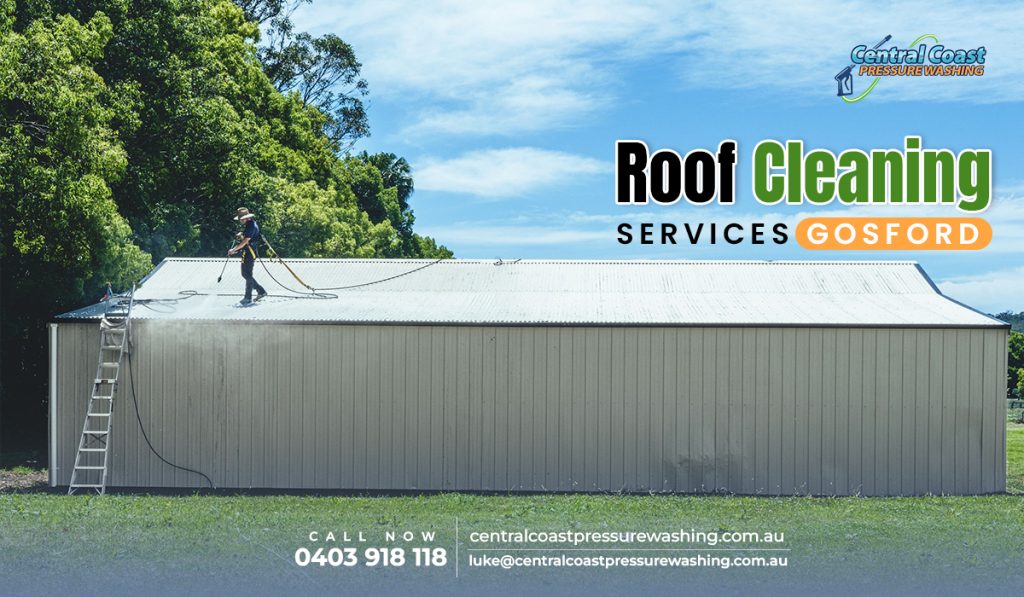 Roof Cleaning services