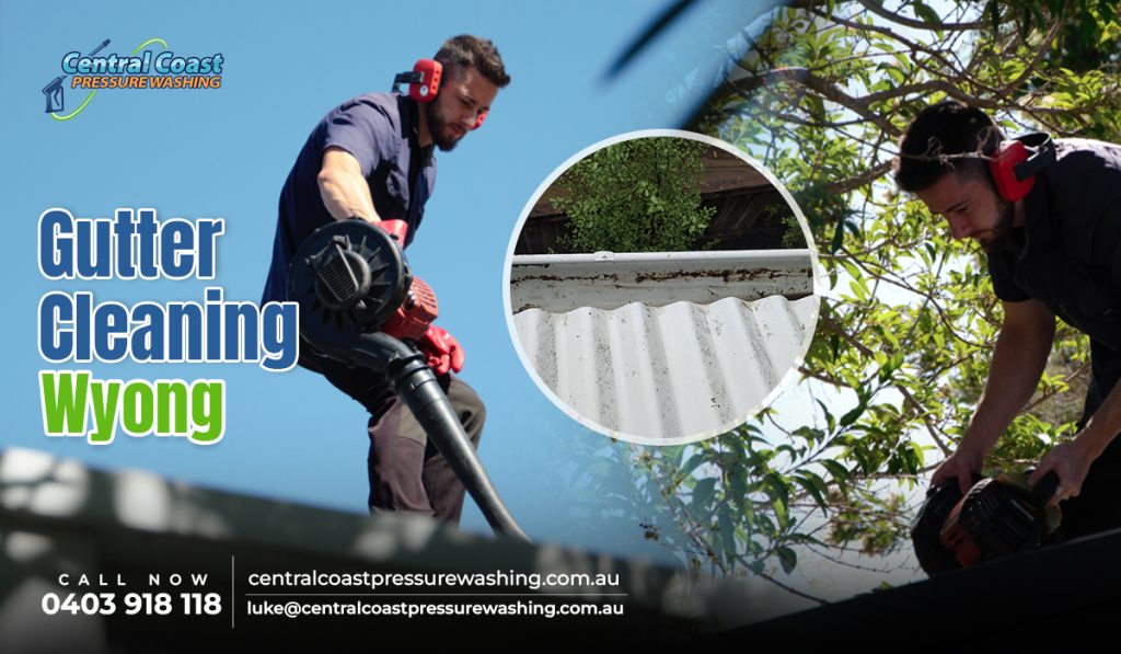 Gutter cleaning service