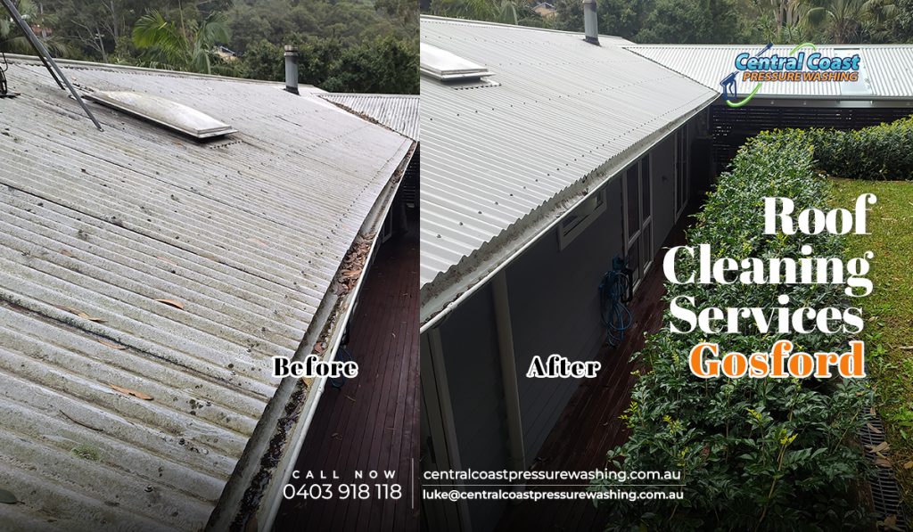 Roof Cleaning Services
