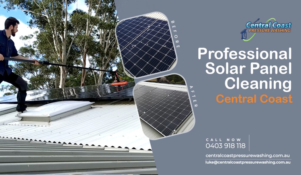 Professional solar panel cleaning service