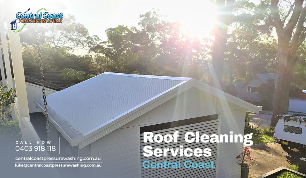 Roof Cleaning services