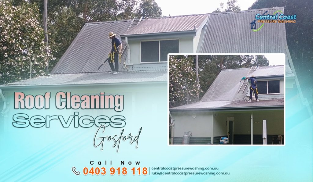 Roof Cleaning services