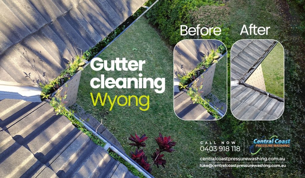 Gutter cleaning