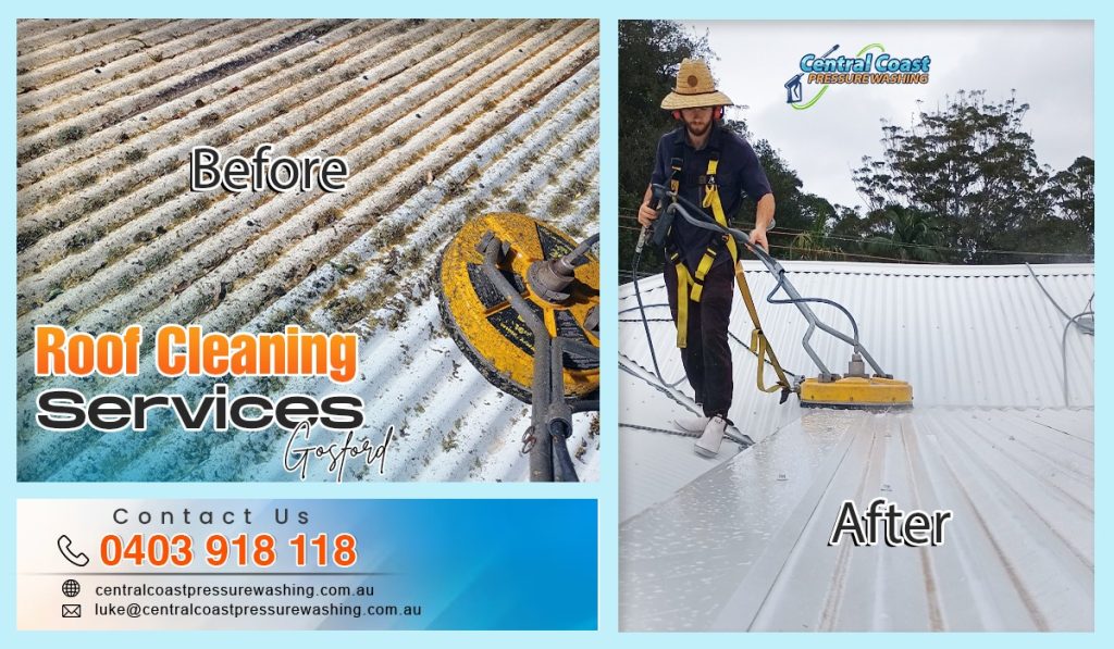 Roof Cleaning services