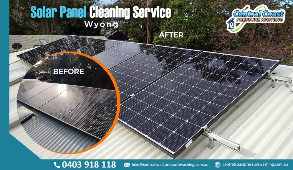 Solar panel cleaning service