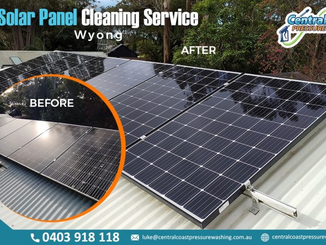 Why a Local Specialist Makes Sense for Roof and Solar Panel Cleaning